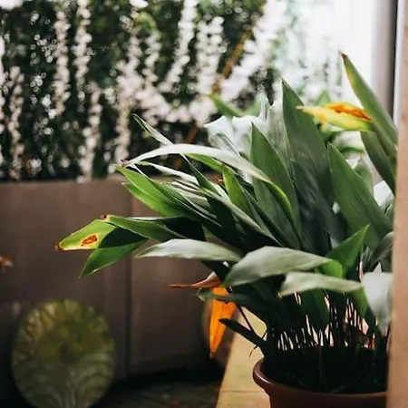 ô Grand Loft - Wifi - Centre - Proximité Apartamento *