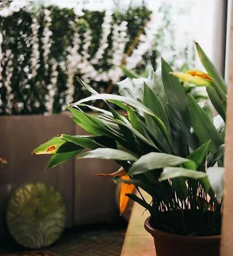 O Grand Loft - Wifi - Centre - Proximite アパート *